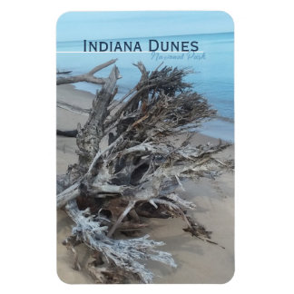 Flexible Driftwood Indiana Dunes National Park Magnet