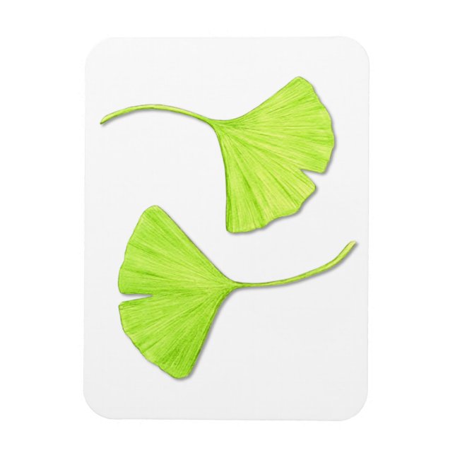 Flexible Ginkgo Feuille Flexi Magnet (Vertical)
