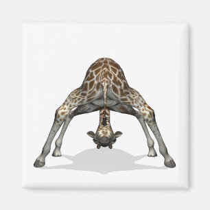 Flexible Giraffe Magnet