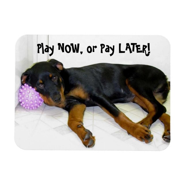 Flexible Heidi Play Now ou Pay Later Magnet (Horizontal)