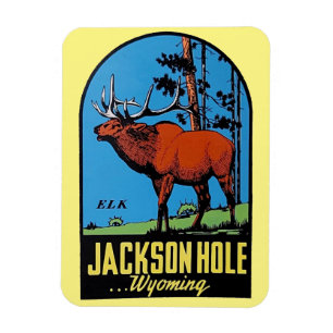 Flexible Jackson Hole, Wyoming Magnet