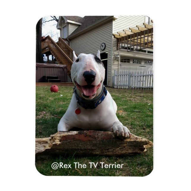 Flexible Joyeux Rex Magnet (Vertical)