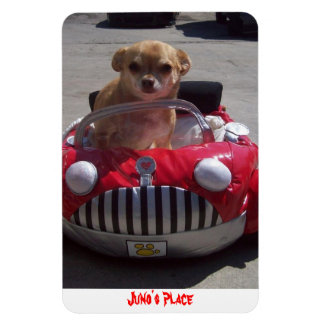 Flexible Juno Magnet