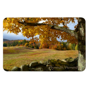 Flexible La Paix Dans Le Magnet Vermont