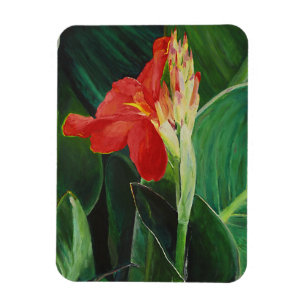 Flexible Le Canna - Magnet