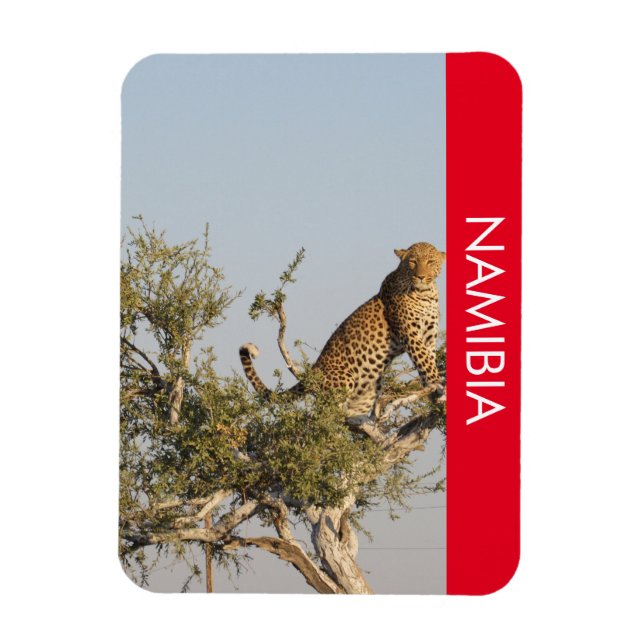Flexible Leopard, Namibie Magnet (Vertical)