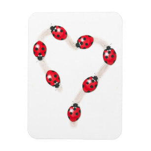 Flexible Léybug Heart Flexi Magnet