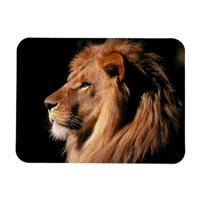 Flexible Lion Magnet (Horizontal)
