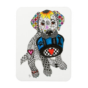 Flexible Magnet 3 po x 4 po