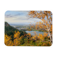 Magnet Bluff & Birch Panorama