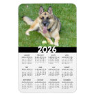 Magnet Calendrier des bergers allemands 2026