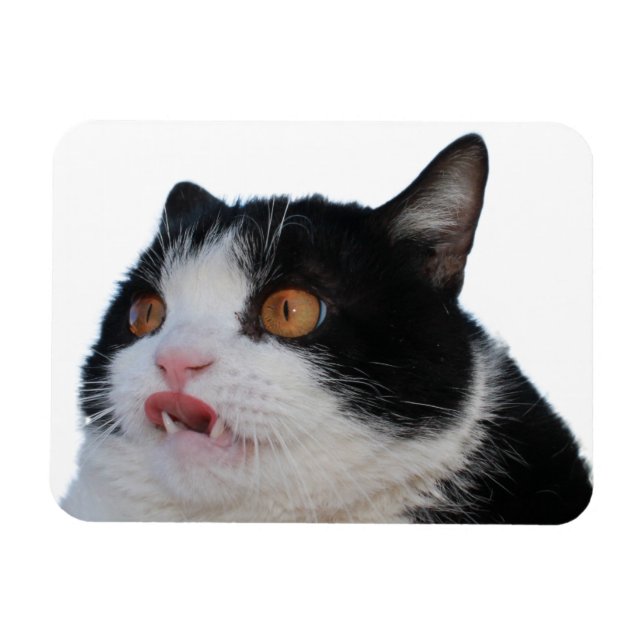 Flexible Magnet de clé (Horizontal)