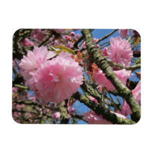 Flexible Magnet de fleurs de cerisiers