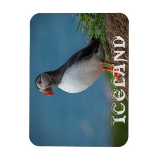 FLEXIBLE MAGNET DE PUFFIN ISLANDE