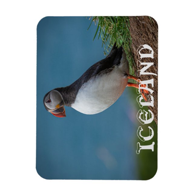 FLEXIBLE MAGNET DE PUFFIN ISLANDE (Vertical)