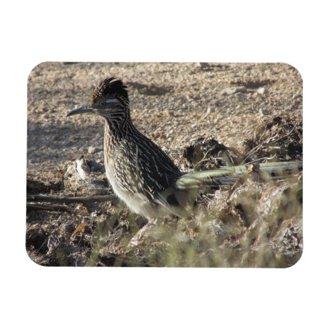 Flexible Magnet de roadrunner (Horizontal)