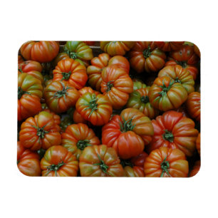 Flexible Magnet de tomates
