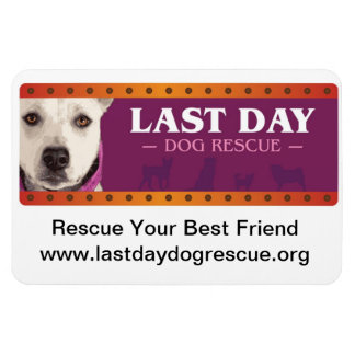 Flexible Magnet de voiture LDDR