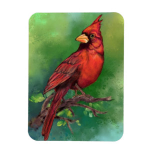 Flexible Magnet du Cardinal rouge du Nord