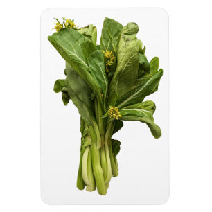 Flexible Magnet photo Choy Sum