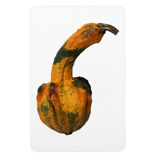 Flexible Magnet photo gourd