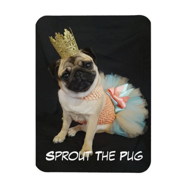 Flexible Magnet photo Queen (Vertical)