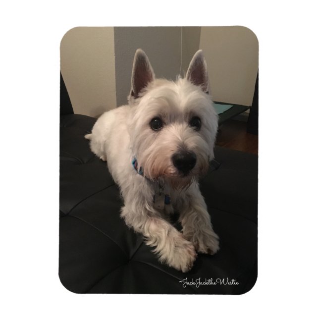 Flexible Magnet photo Westie 3"x4" (Vertical)