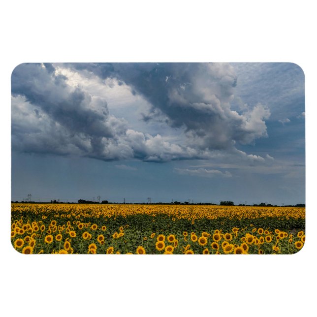 Flexible Magnet plat 4x6 (Horizontal)