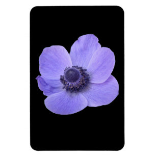 Flexible Magnet Premium Anemone bleu
