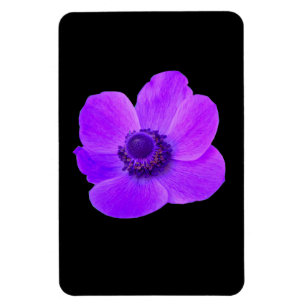 Flexible Magnet Premium d'anémone violet