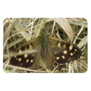 Flexible Magnet Premium Papillon en bois moucheté