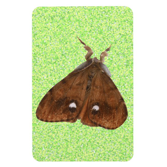 Flexible Magnet Premium Vapourer Moth (Vertical)