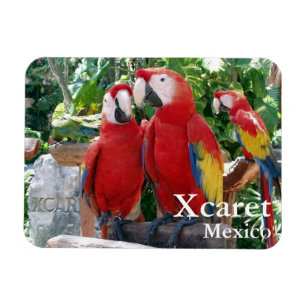 Flexible Magnet Scarlet Macaws