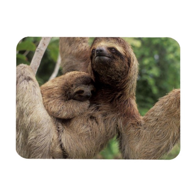 Flexible Mama Sloth Et Baby Magnet (Horizontal)