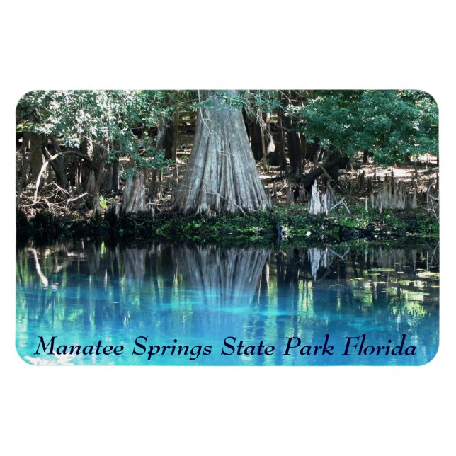 Flexible Manatee Springs Fl Flexi Magnet (Horizontal)