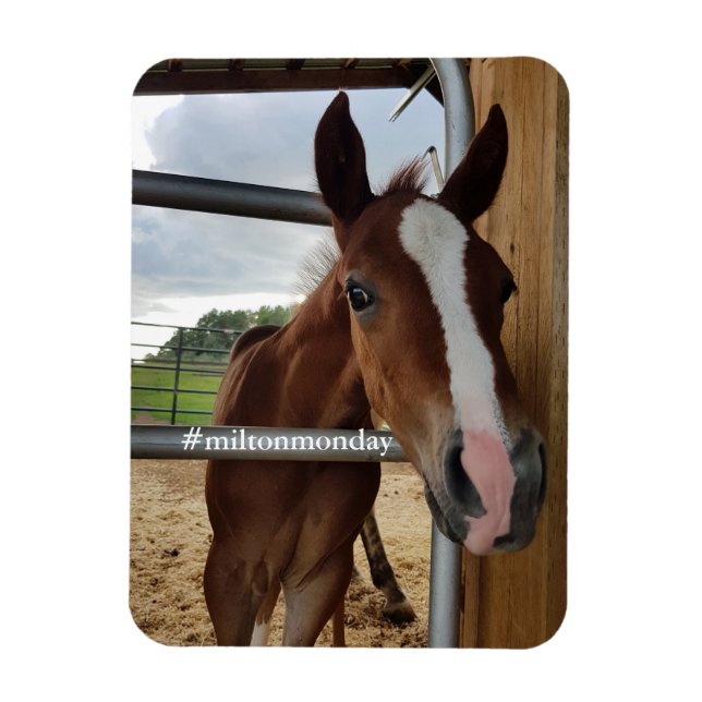 Flexible Milton Monday Magnet (Vertical)