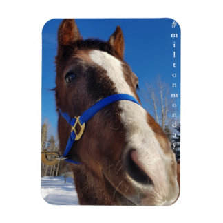 Flexible Milton Monday Magnet