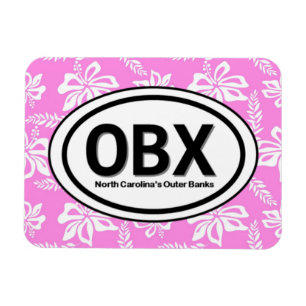 Flexible OBX Banques externes NC Magnet rose