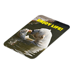 Flexible Ours Polaire Mangeant des Fruits dans l'Eau Magnet