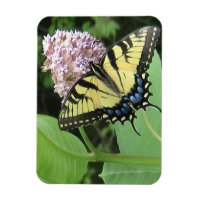 Papillon à queue jaune Flexi Magnet