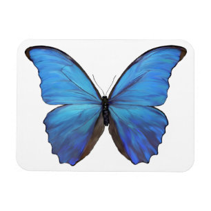 Flexible Papillon Bleu Magnet
