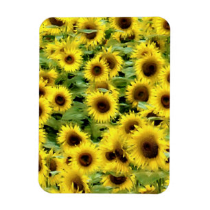 Flexible Photo Magnet