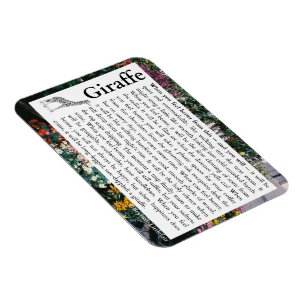 Flexible Photo Magnet