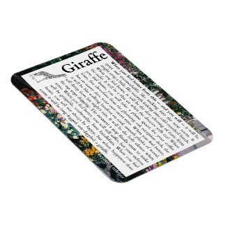 Flexible Photo Magnet