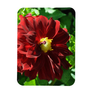 Flexible Photo Magnet