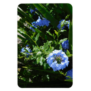 Flexible Photo Magnet design bleu fleur