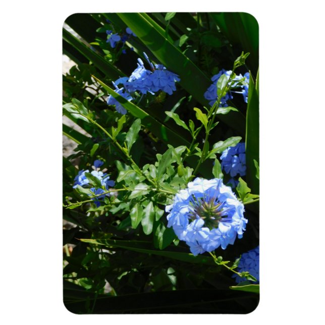 Flexible Photo Magnet design bleu fleur (Vertical)