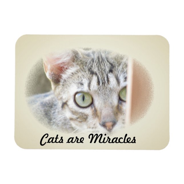 Flexible Photo Magnet - Les chats sont Miracles v.2 (Horizontal)