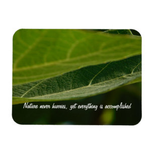 Flexible Photo Magnet "Tree leaf"