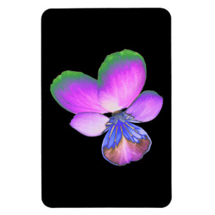 Flexible Pretty Pansy Premium Magnet